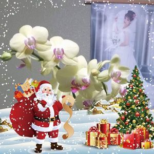 Meet your Posher, Thu